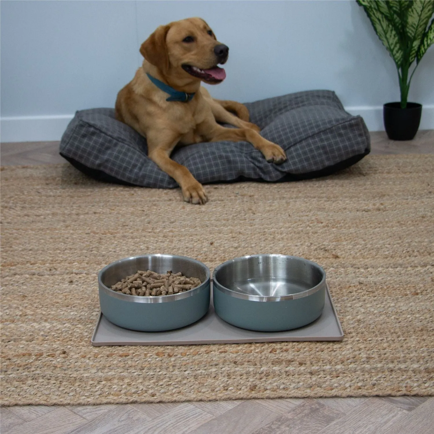 Ancol Hungry Paws Stainless Sage Steel Bowl