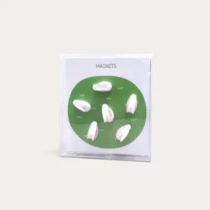 Bunny | Magnets