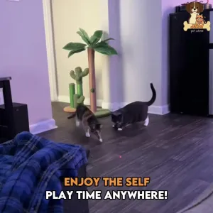 Cat Toy Bear Automatic Laser