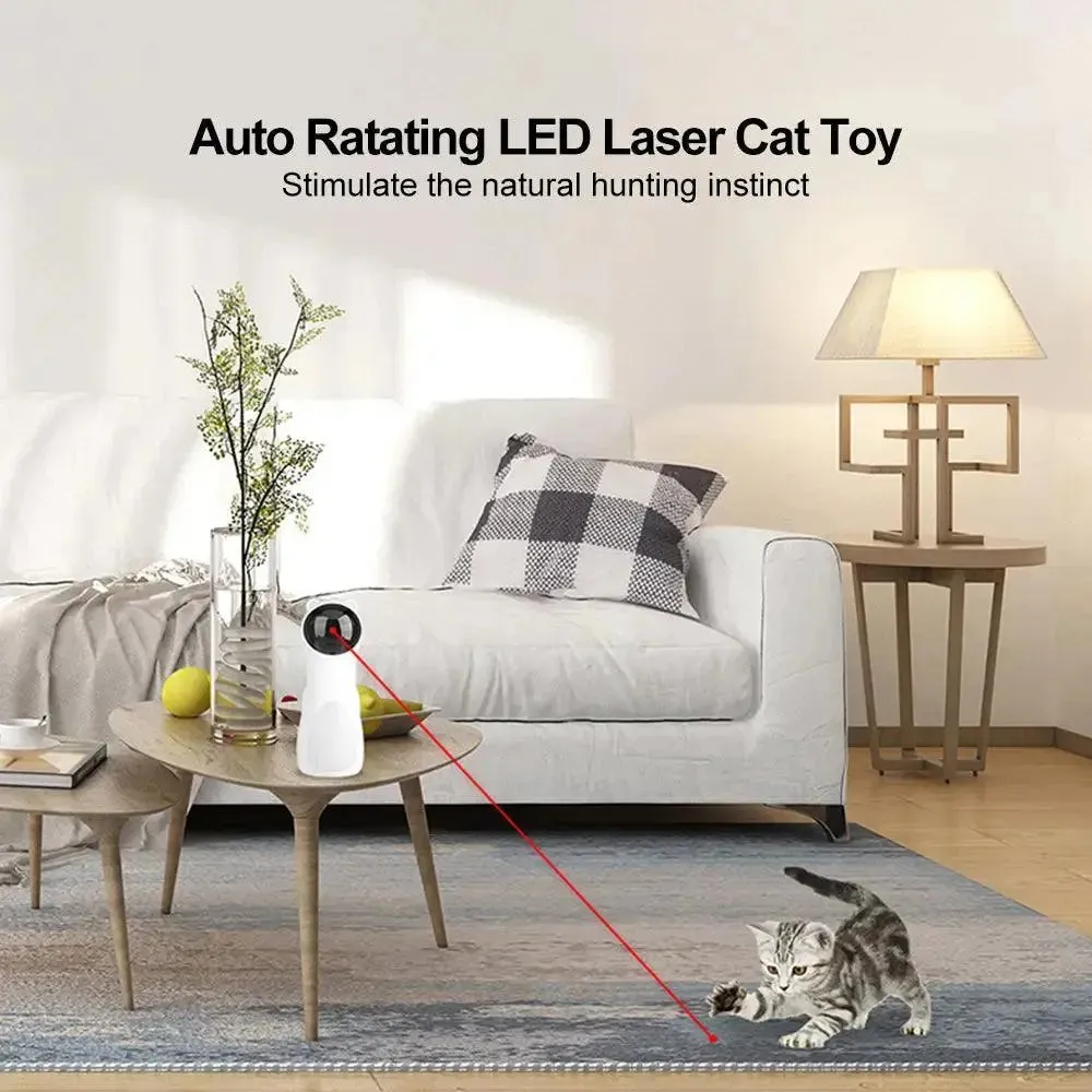 Cat Toy Bear Automatic Laser