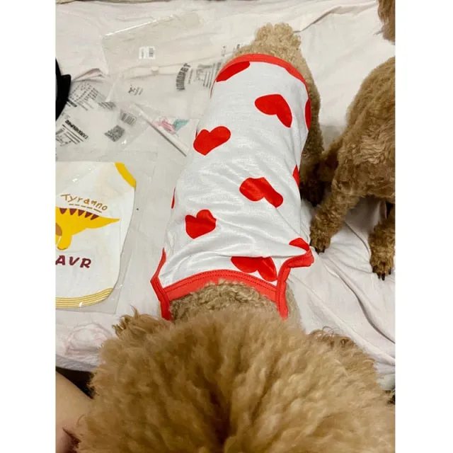 Comfortable Breathable Puppy Clothes