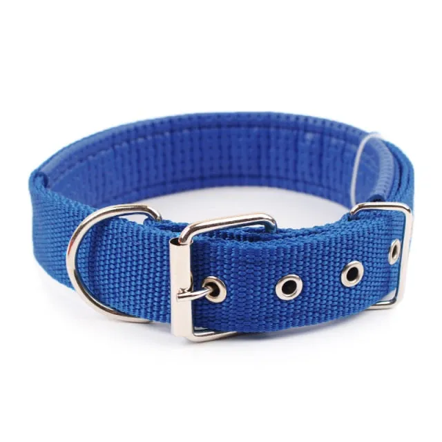 Comfortable Nylon Pet Neck Strap