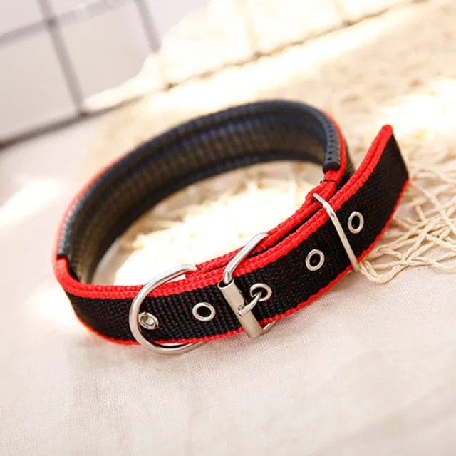 Comfortable Nylon Pet Neck Strap