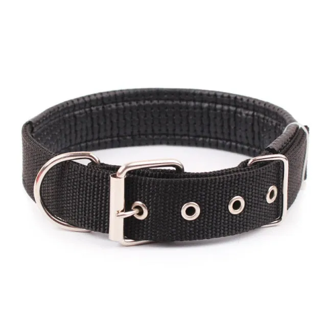 Comfortable Nylon Pet Neck Strap