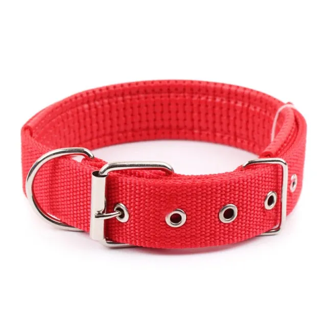Comfortable Nylon Pet Neck Strap