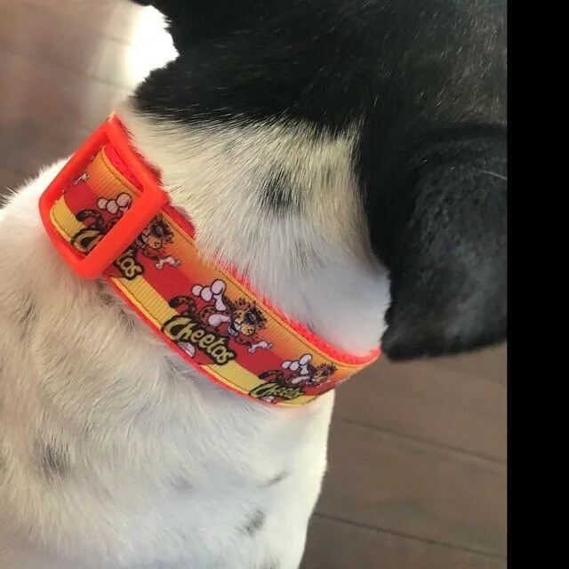 Flowers dog collar handmade adjustable buckle collar 5/8" wide or leash fabric Petcollarshandmade