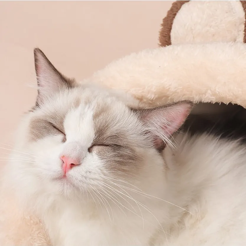Funki Buys | Pet Beds | Cat Bed | Cat Cave | Warm Kitty House