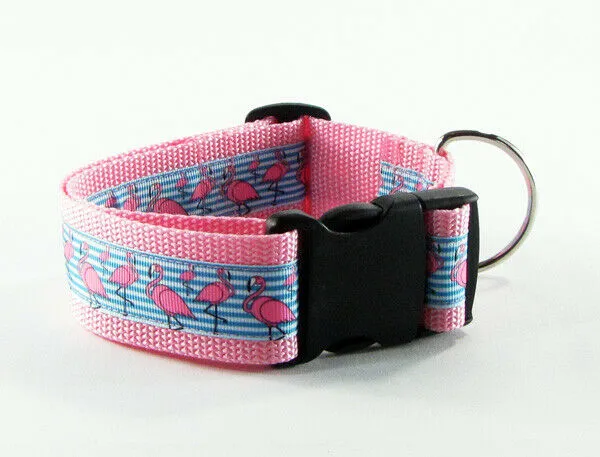 Grumpy Cat dog collar handmade adjustable buckle collar 1" wide or leash Petcollarshandmade