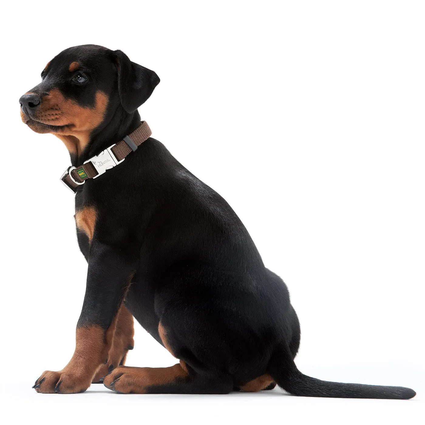 Hunter Basic Alu-Strong Nylon Collar