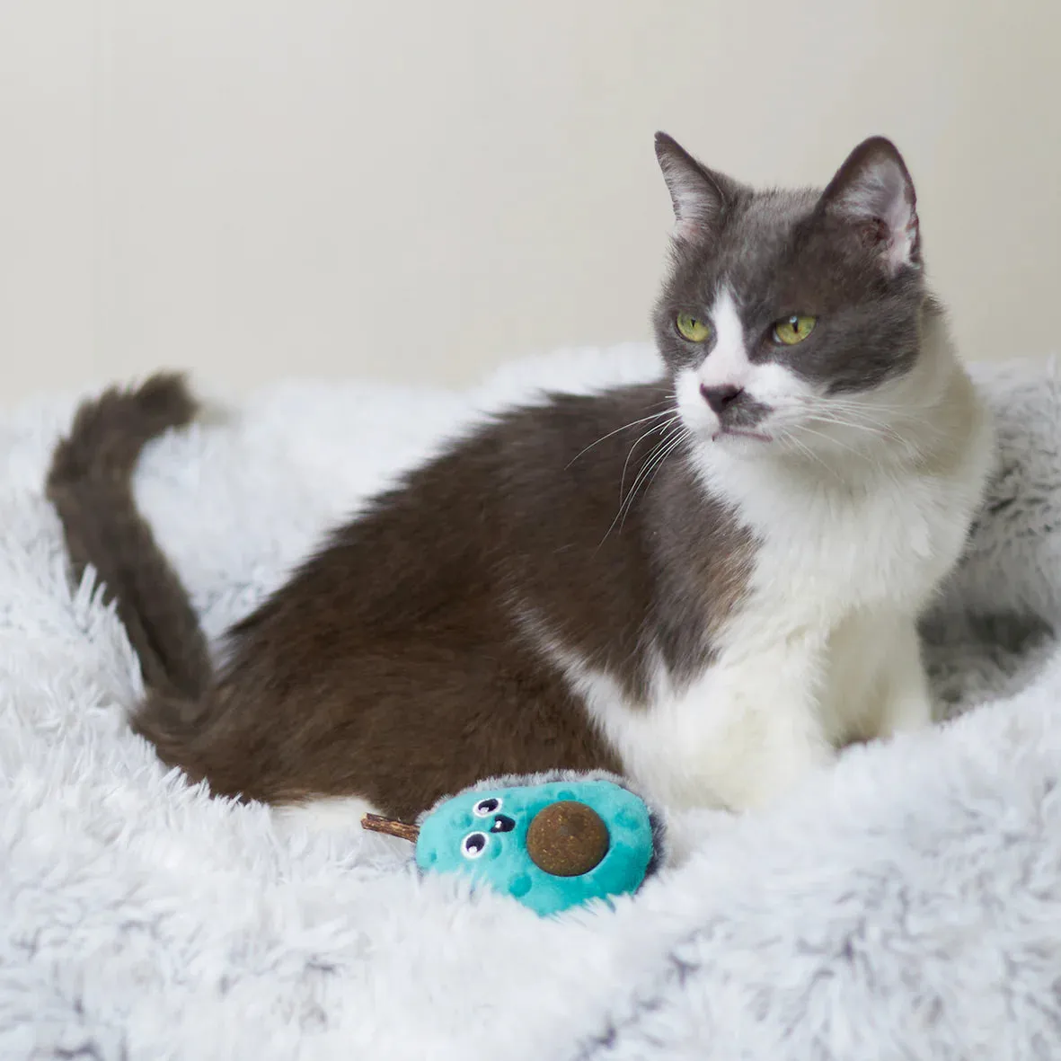 Kazoo Playful Avocado Cat Toy