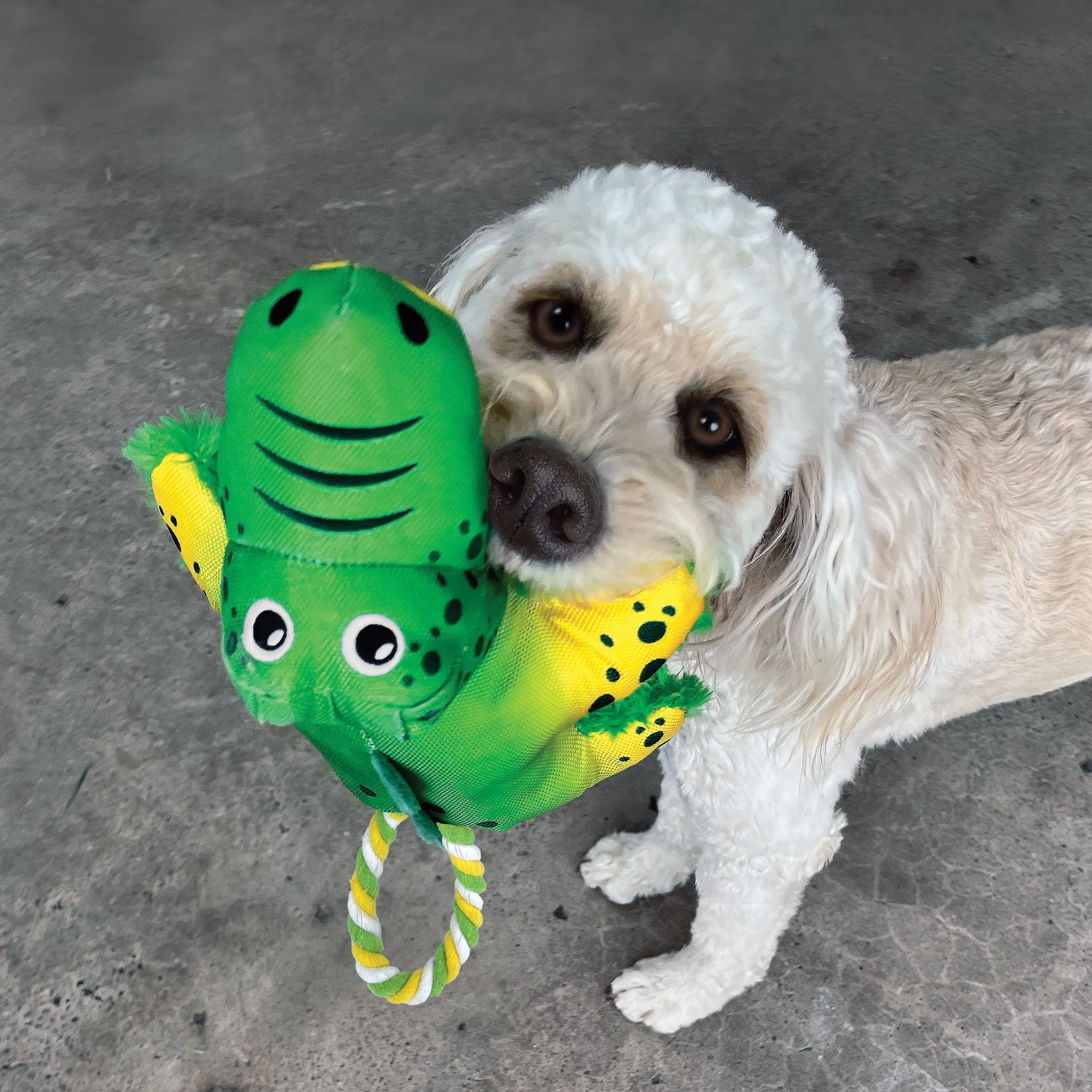 KONG Cozie Tuggz Alligator Small to Medium Dog Toy^^^