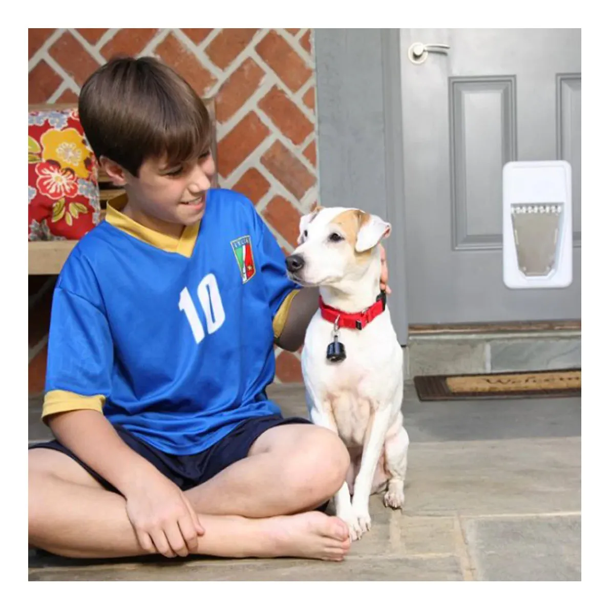 PetSafe Electronic Smart Door Electronic Smart Key