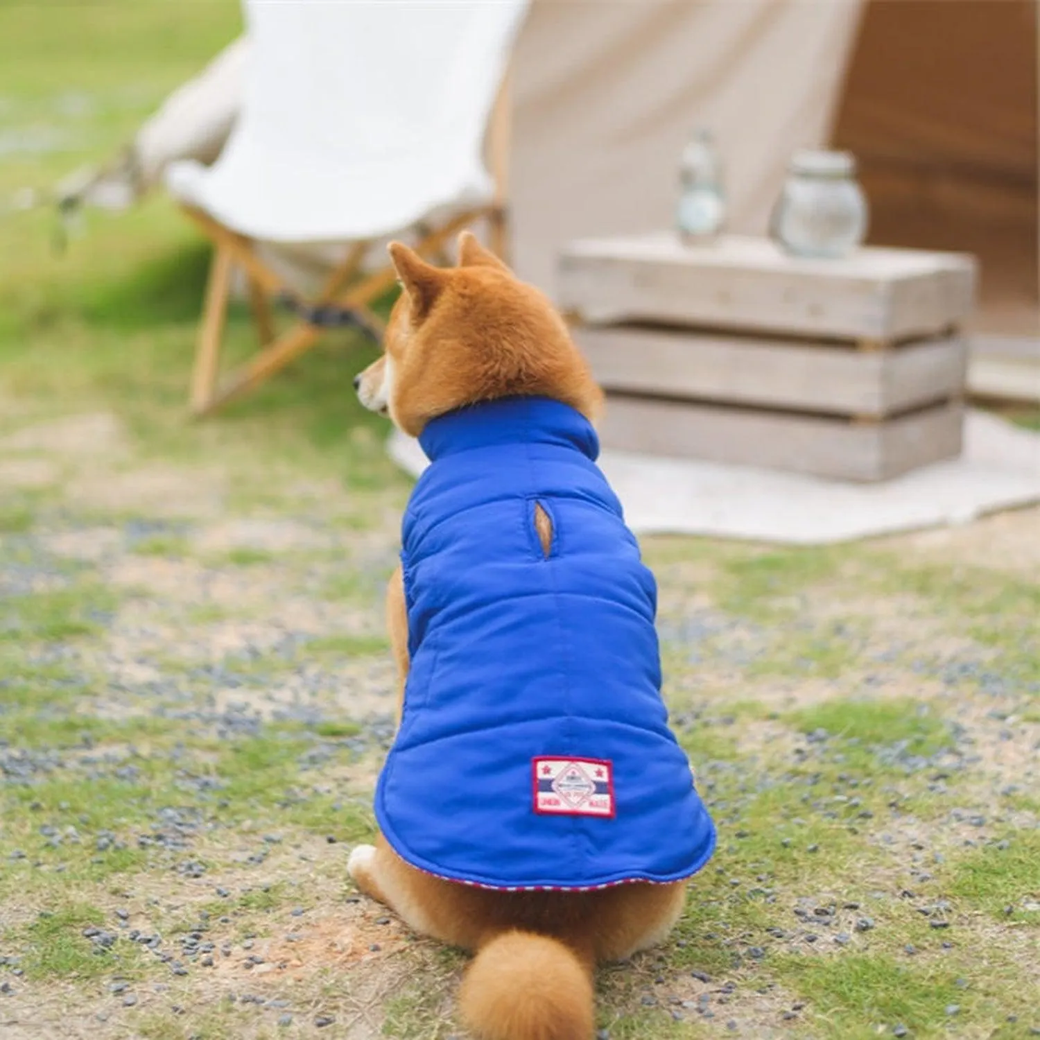 Porsche Reversible Dog Jacket