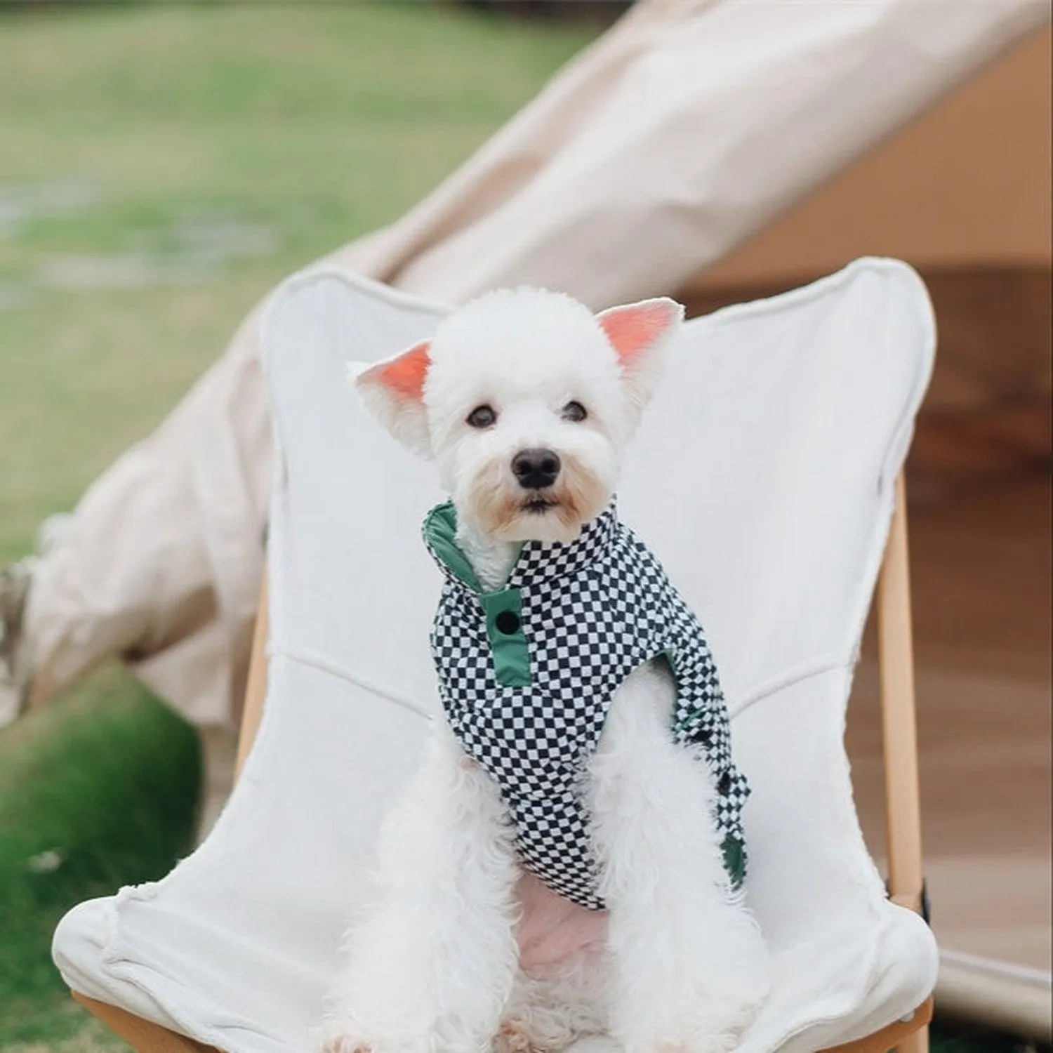 Porsche Reversible Dog Jacket