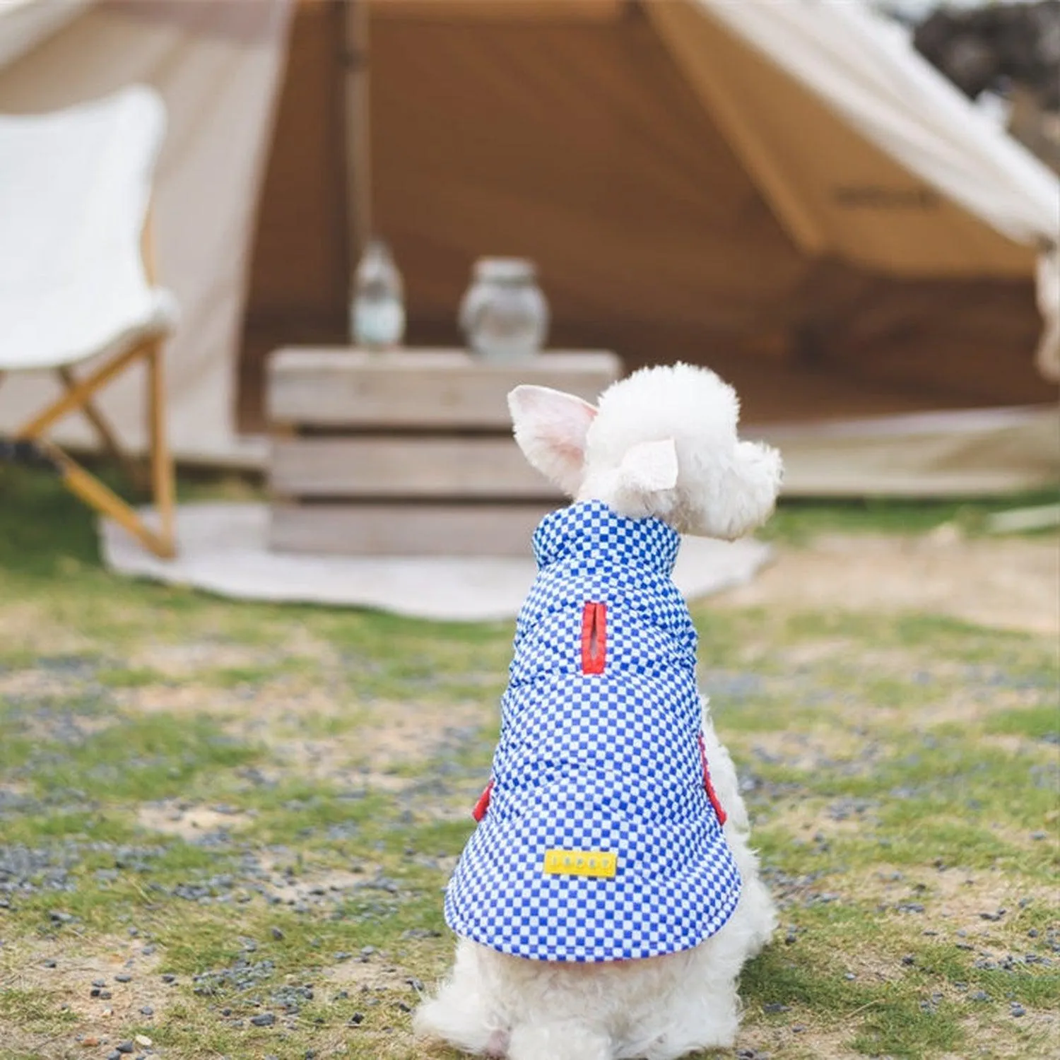 Porsche Reversible Dog Jacket