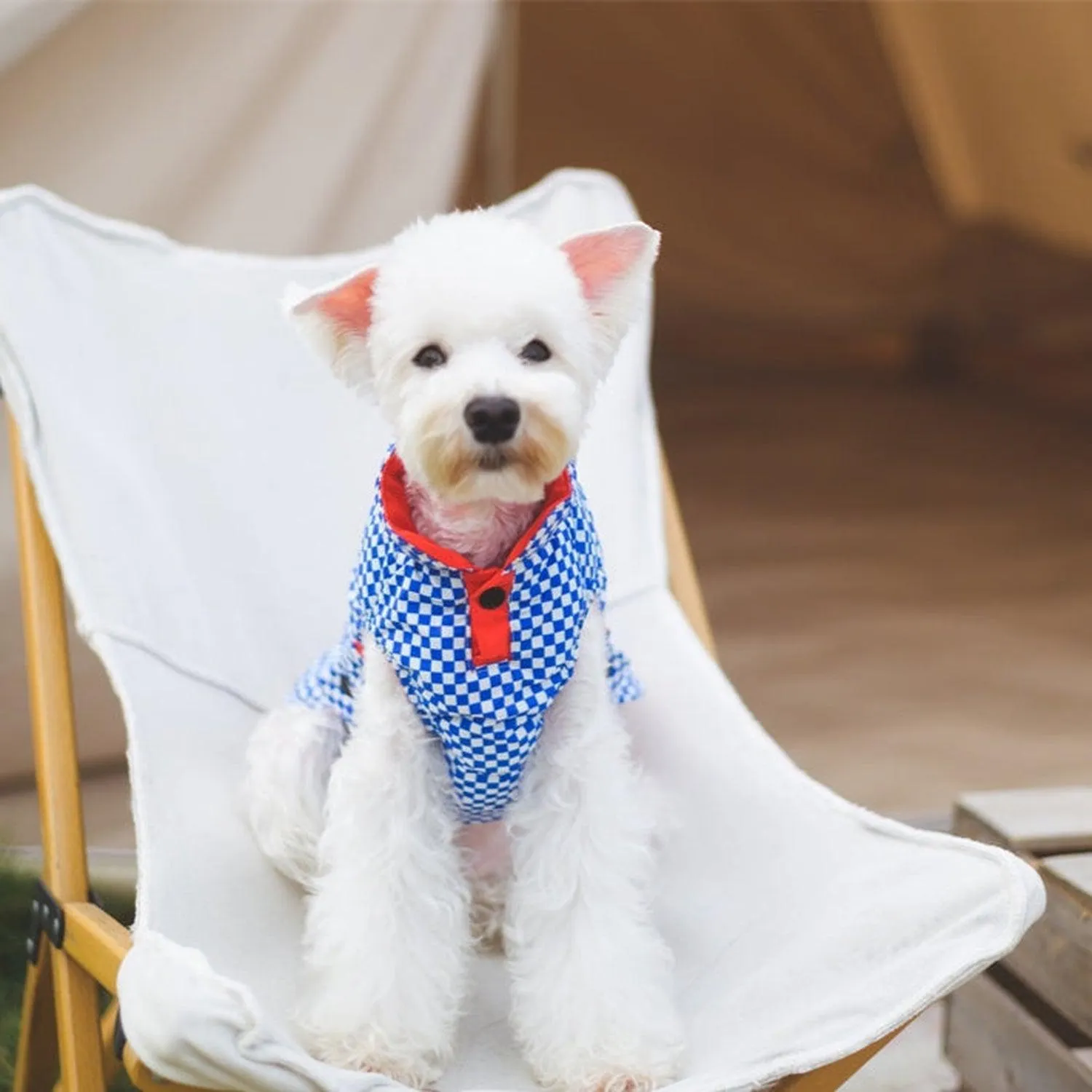 Porsche Reversible Dog Jacket