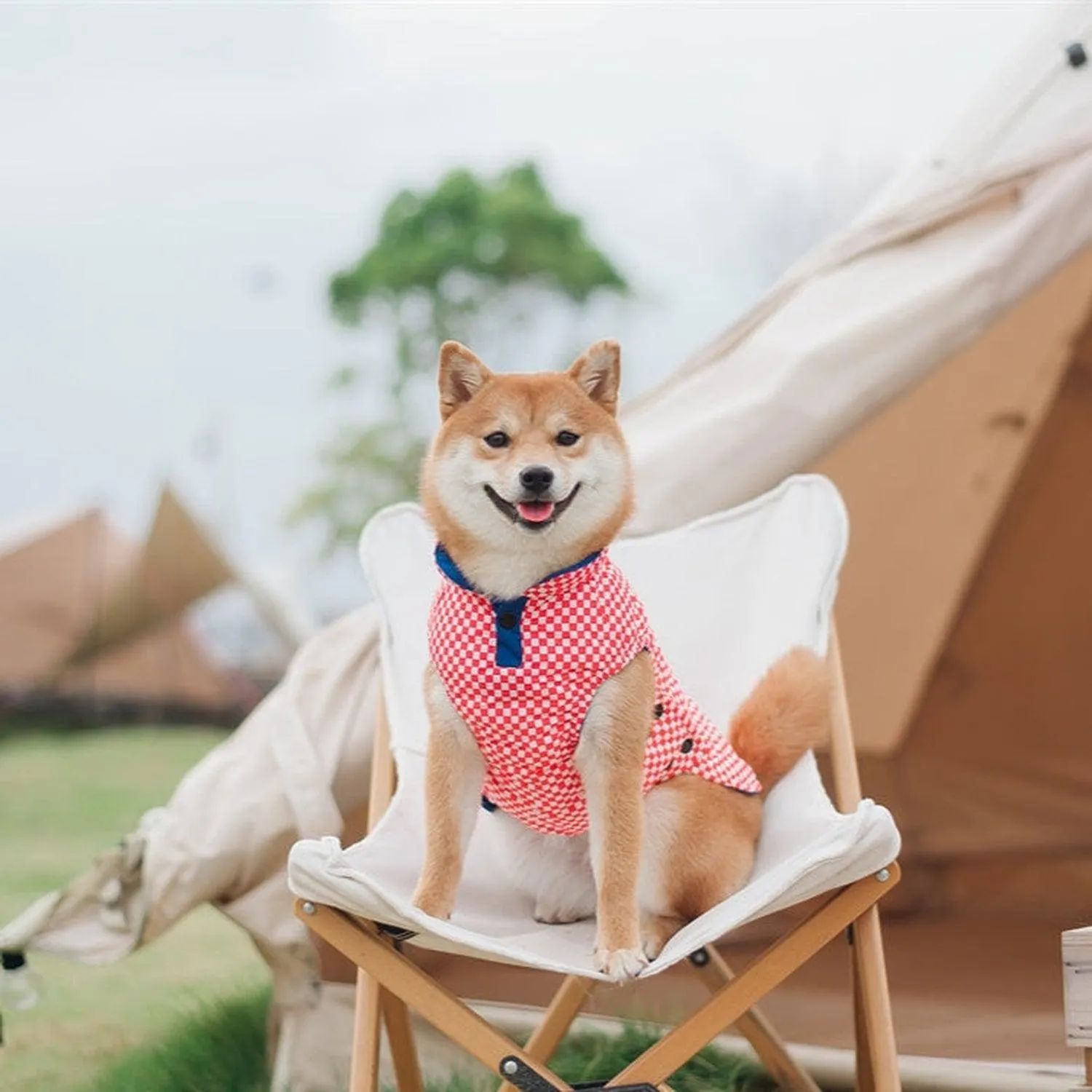 Porsche Reversible Dog Jacket