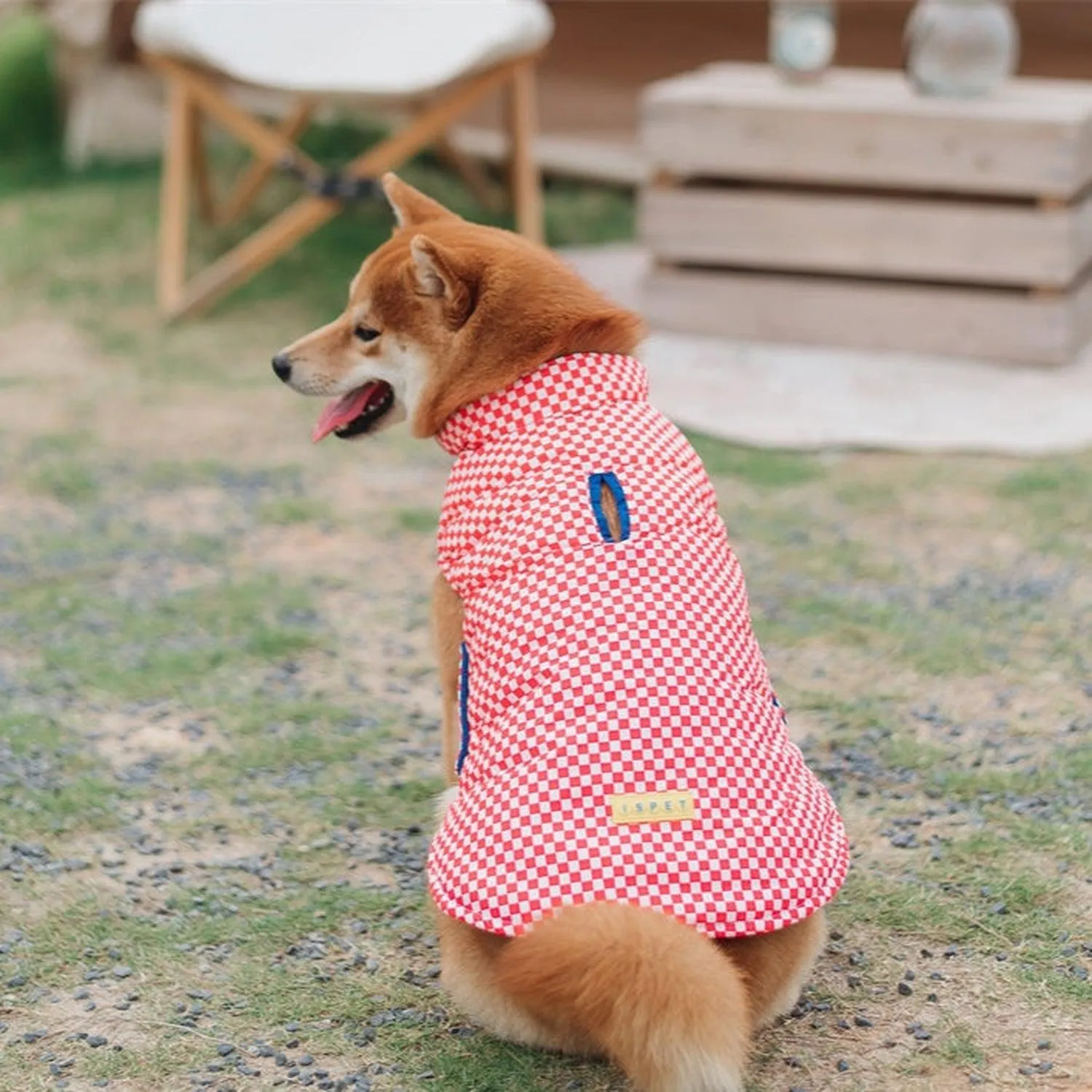 Porsche Reversible Dog Jacket