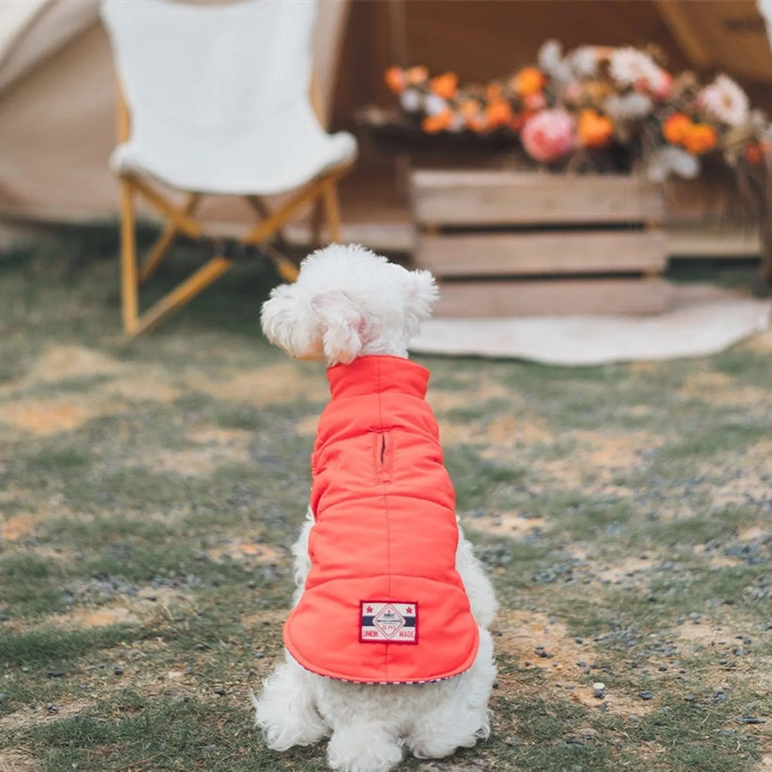 Porsche Reversible Dog Jacket