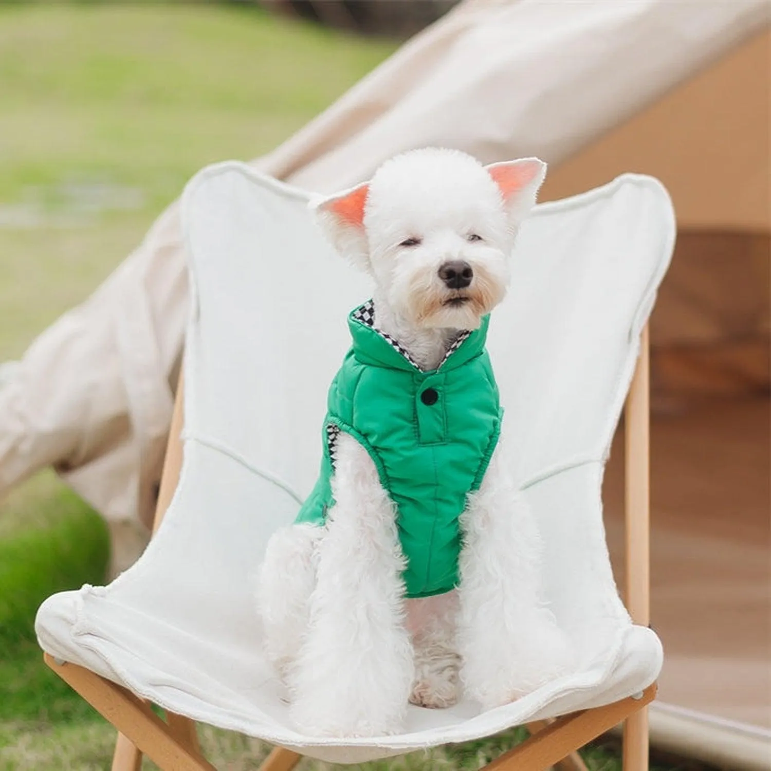Porsche Reversible Dog Jacket
