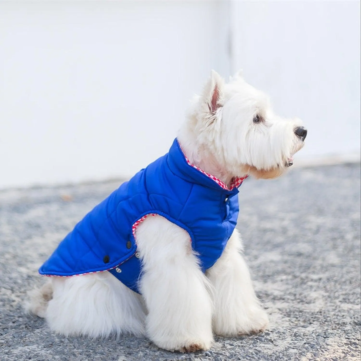 Porsche Reversible Dog Jacket