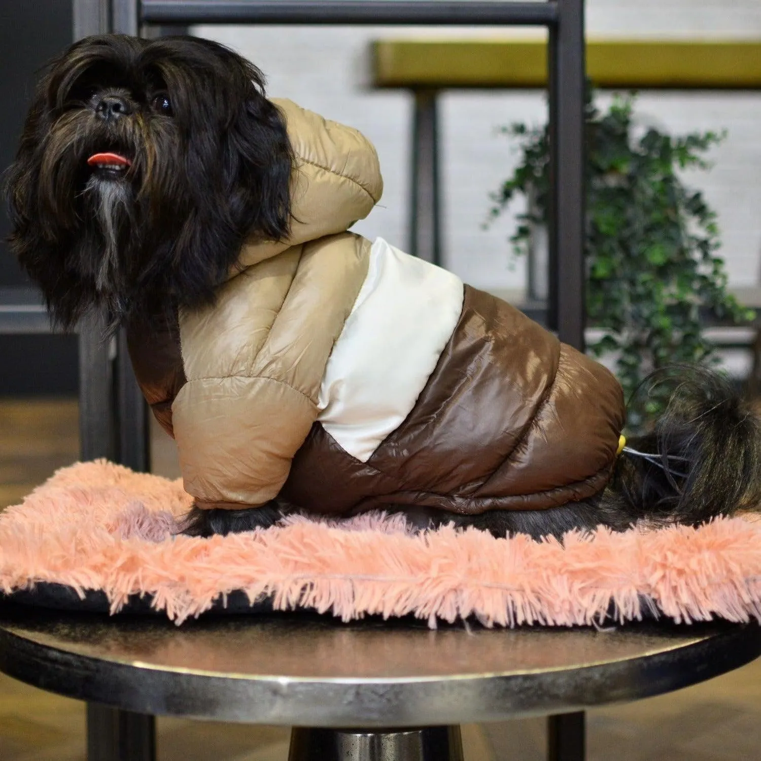 Puffer Waterproof Dog Jacket