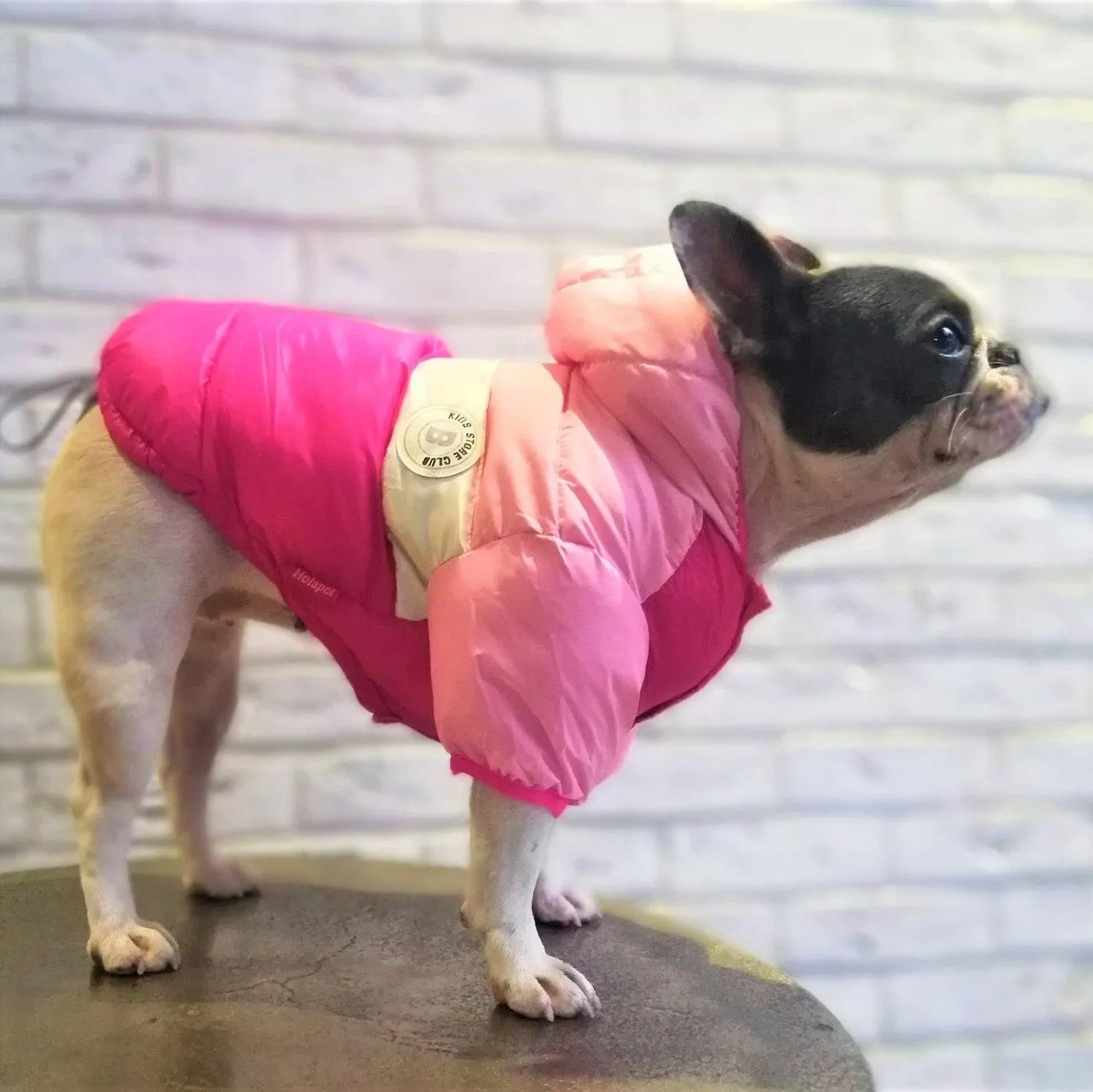 Puffer Waterproof Dog Jacket