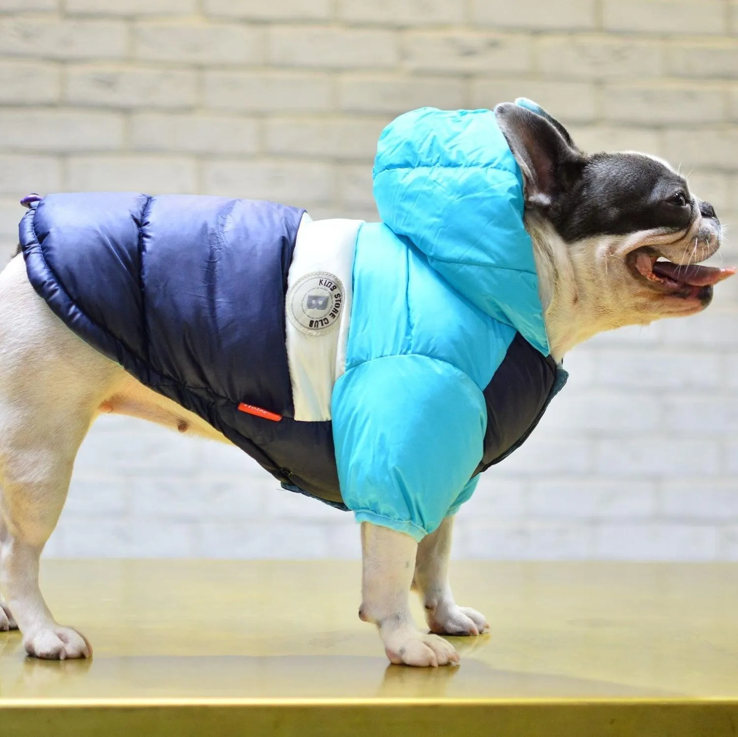 Puffer Waterproof Dog Jacket