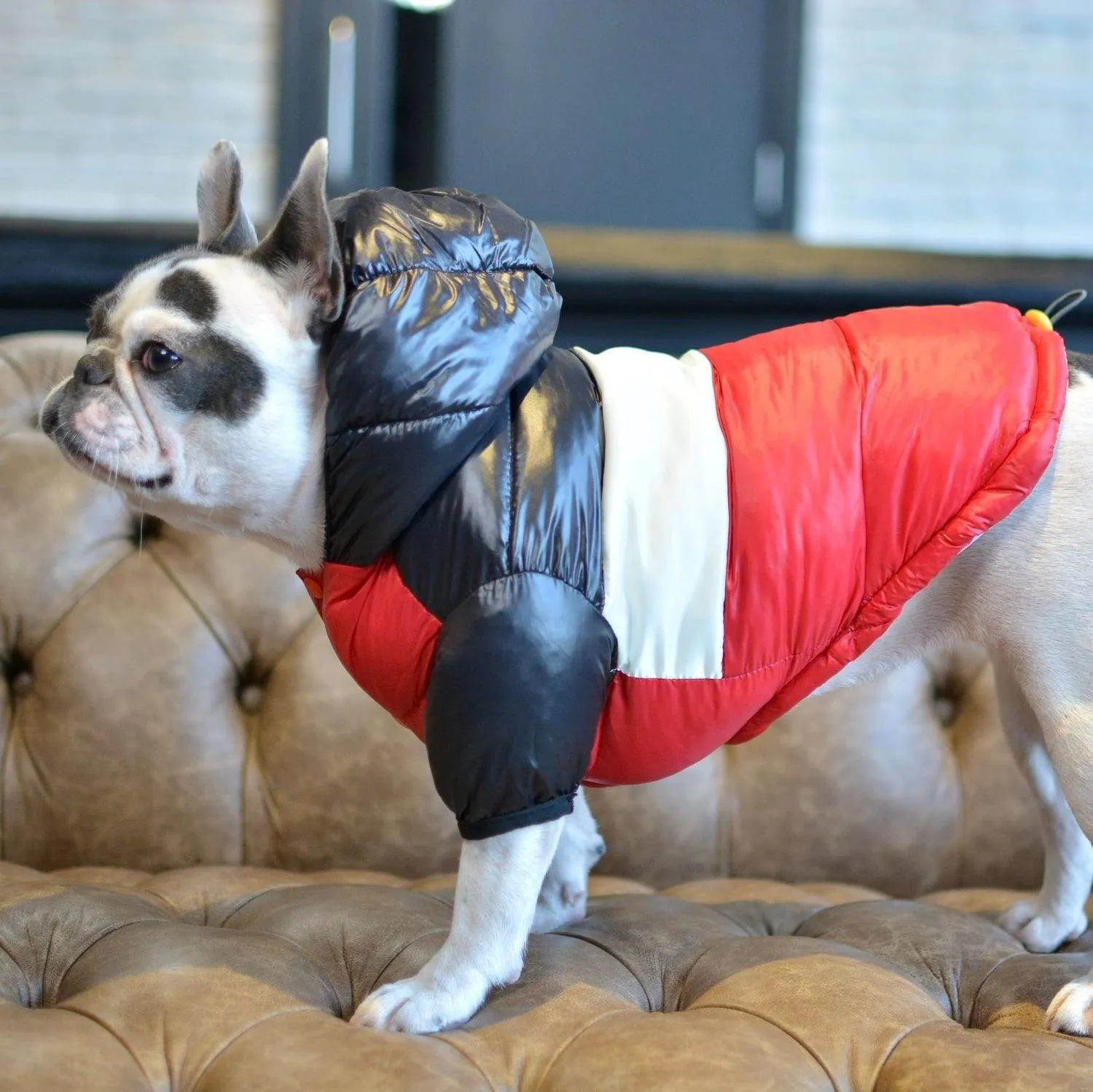 Puffer Waterproof Dog Jacket
