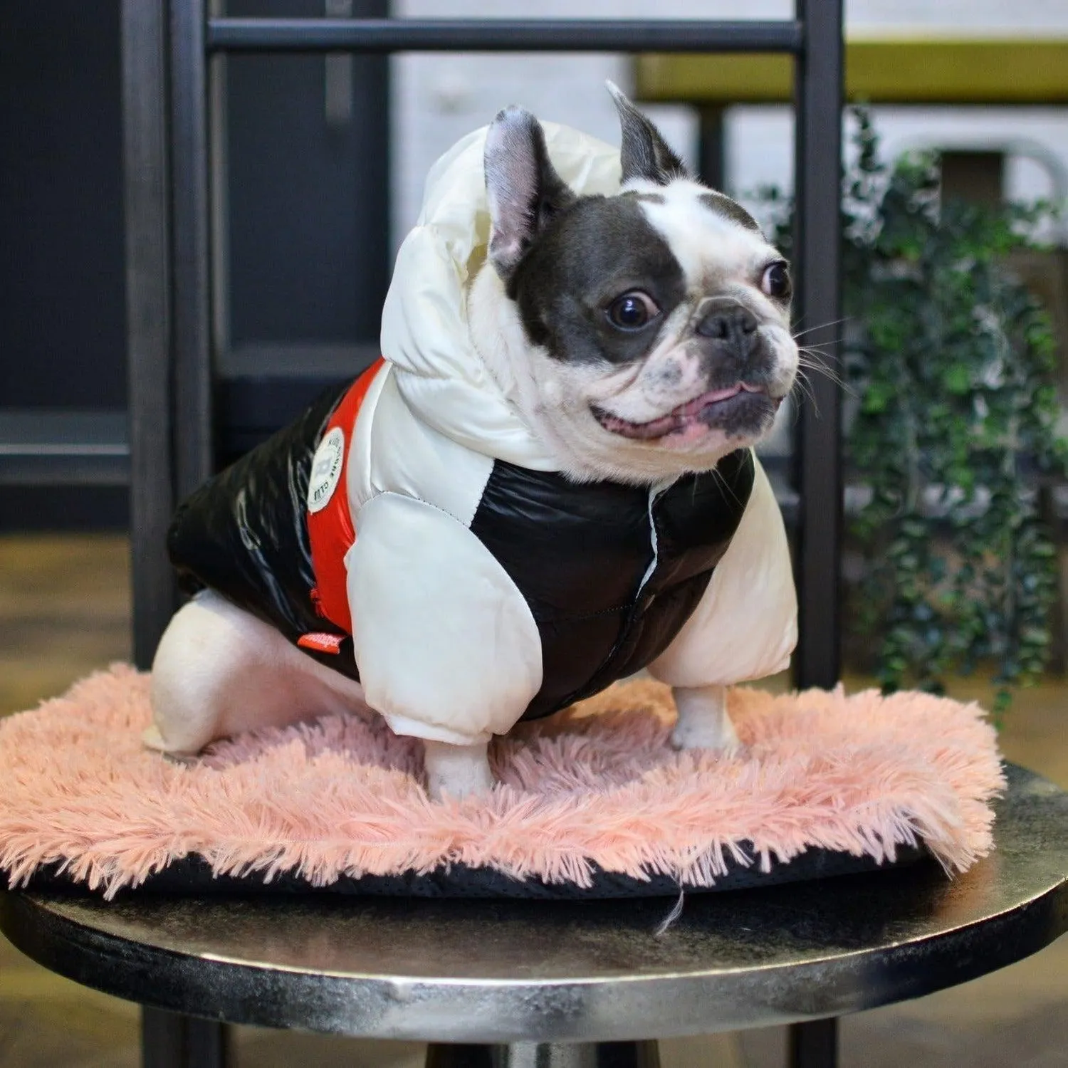 Puffer Waterproof Dog Jacket