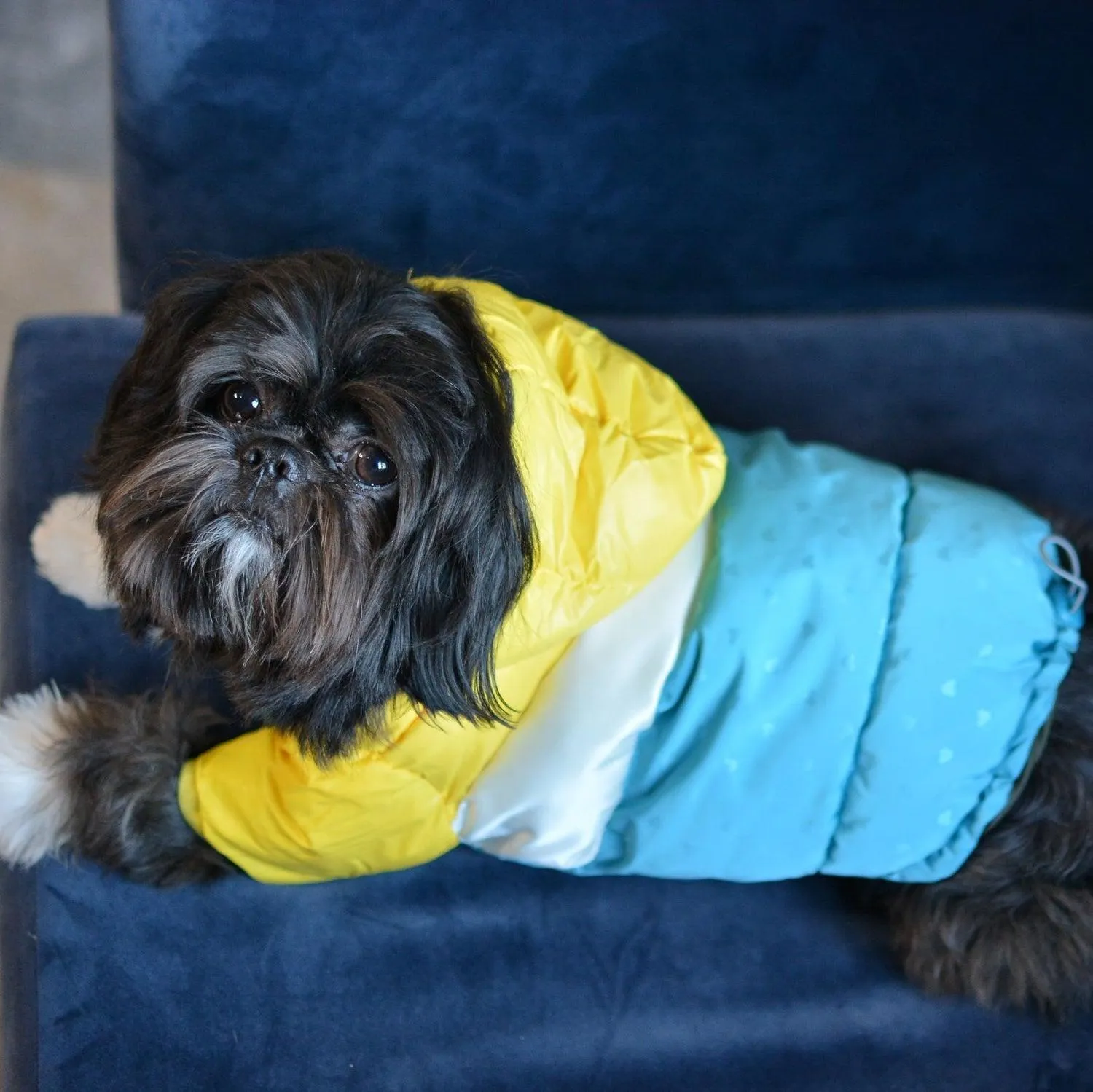 Puffer Waterproof Dog Jacket