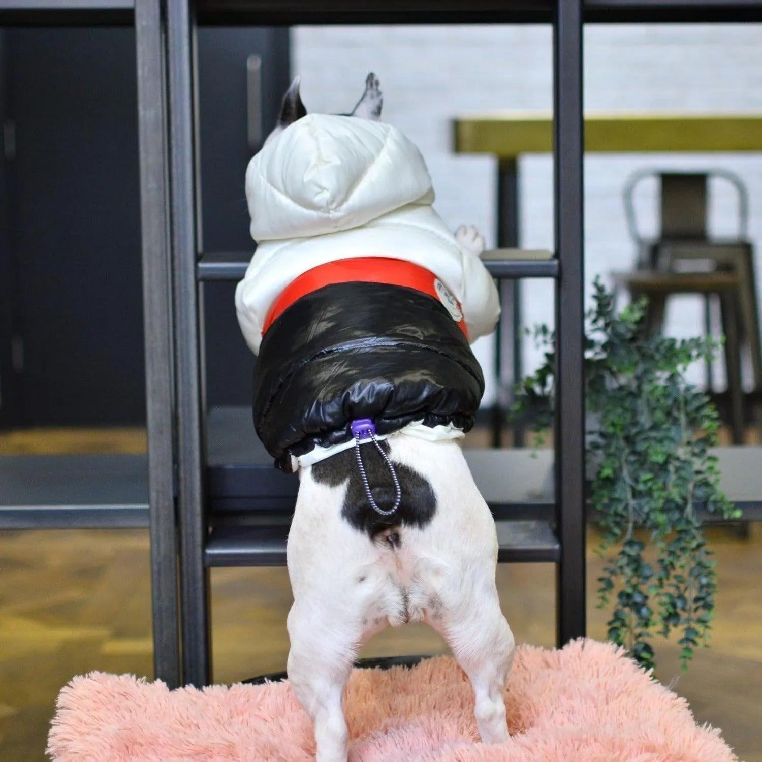 Puffer Waterproof Dog Jacket
