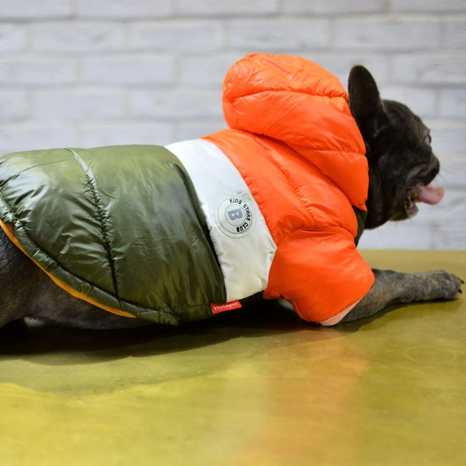 Puffer Waterproof Dog Jacket