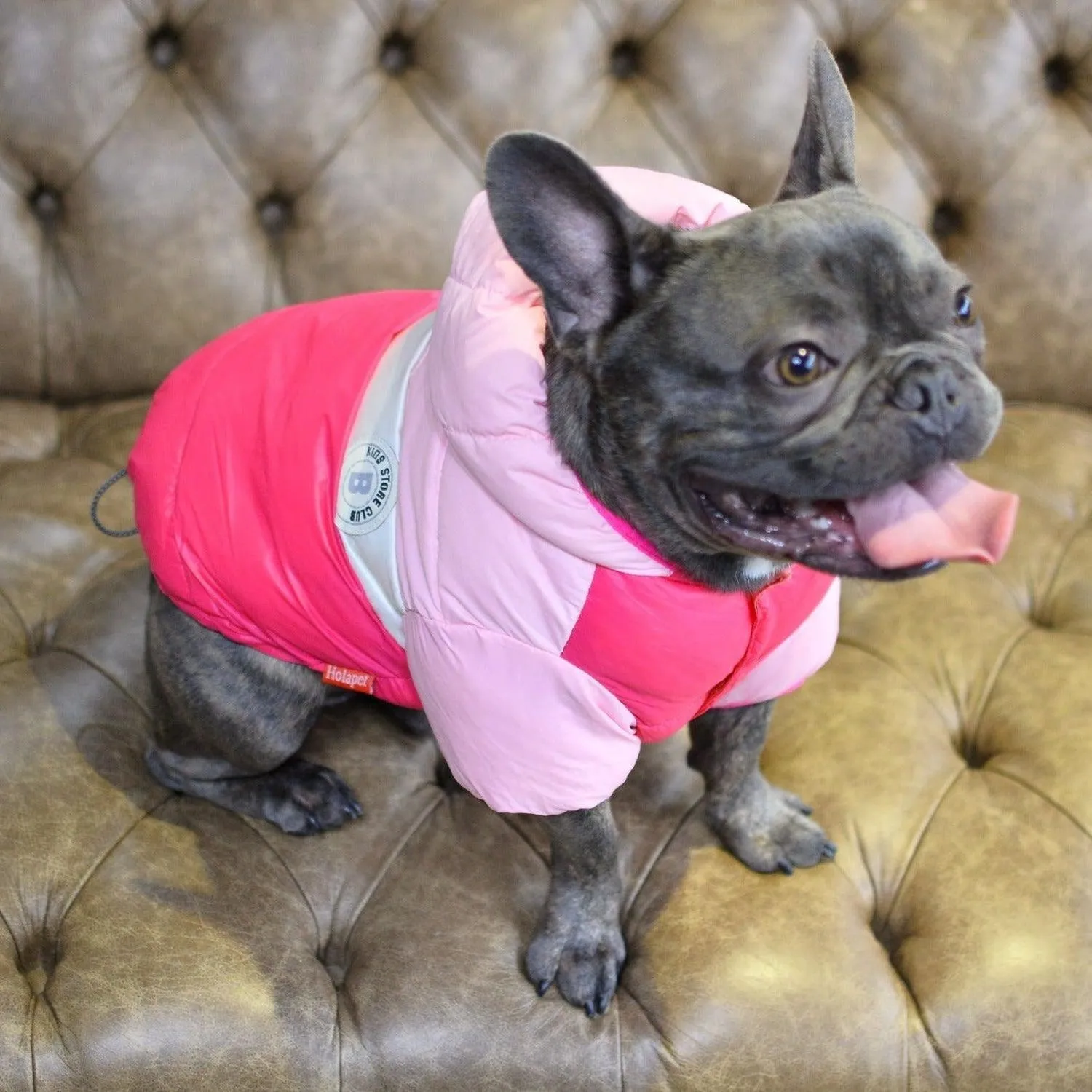 Puffer Waterproof Dog Jacket