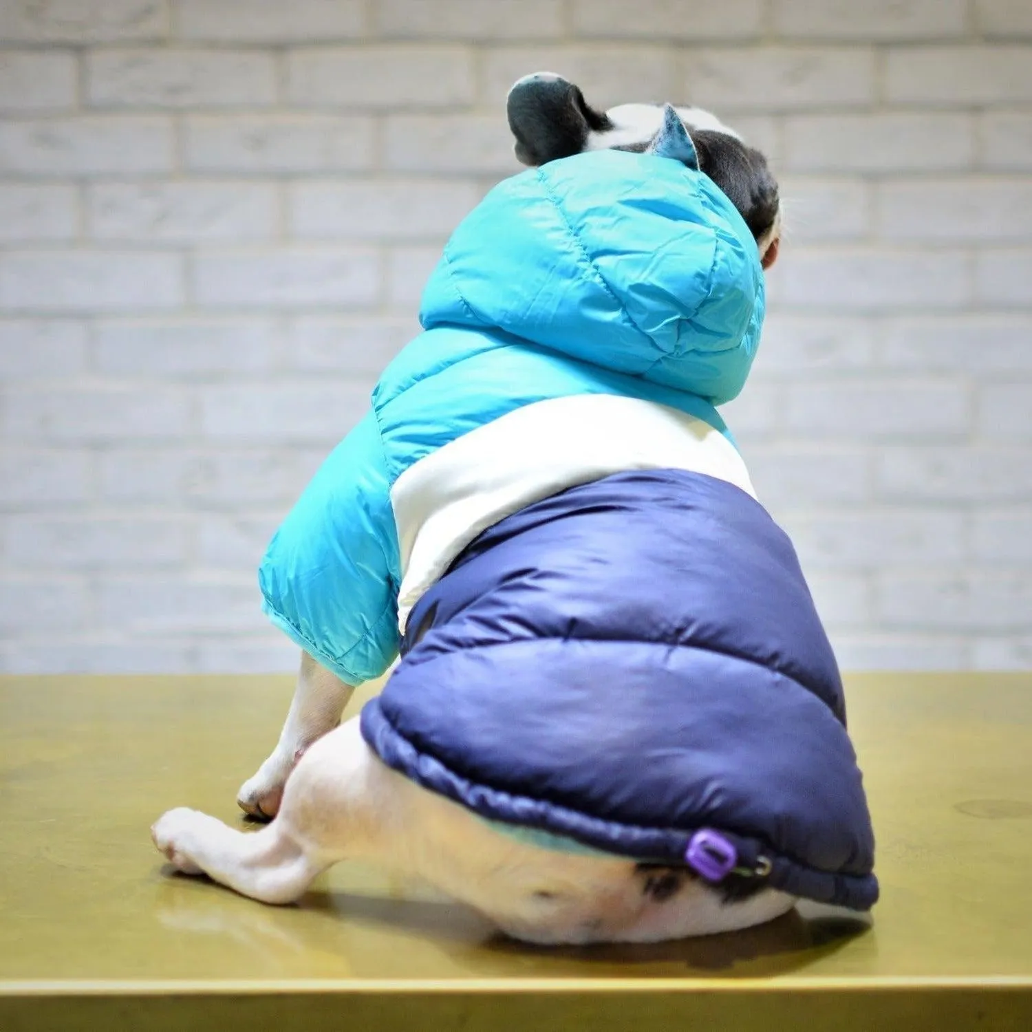 Puffer Waterproof Dog Jacket