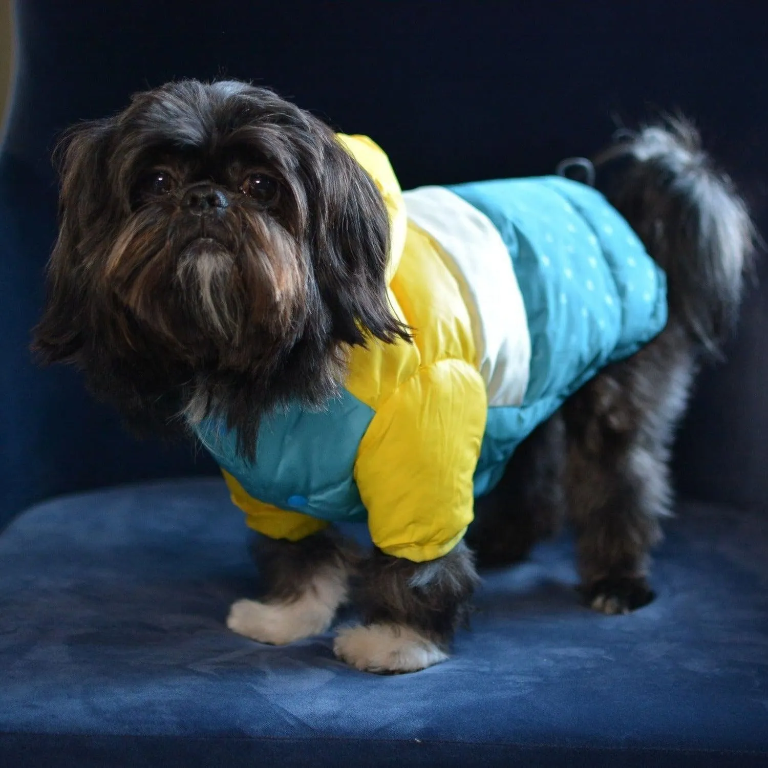 Puffer Waterproof Dog Jacket