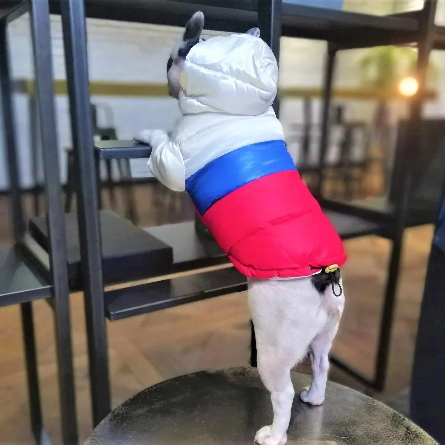 Puffer Waterproof Dog Jacket