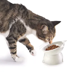 Recycled Tilted Cat Bowl - White