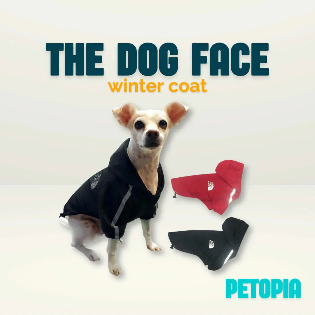 The Dog Face - Winter Coat