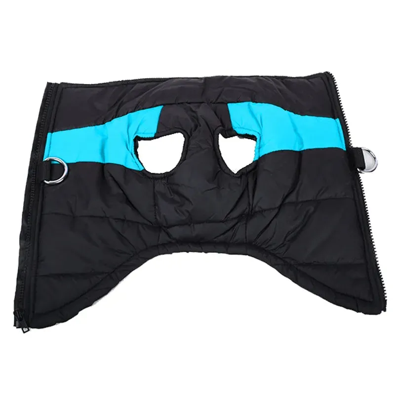 Warm and Waterproof Winter Dog Coat for Dogs of All Sizes - Perfect for Small, Medium, and Large Breeds like Golden Retrievers