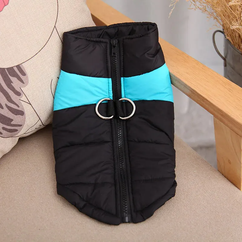 Warm and Waterproof Winter Dog Coat for Dogs of All Sizes - Perfect for Small, Medium, and Large Breeds like Golden Retrievers