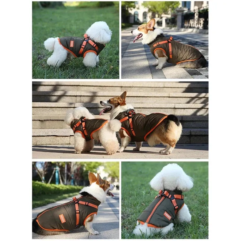 Waterproof Winter Jacket for Small Dogs with Harness
